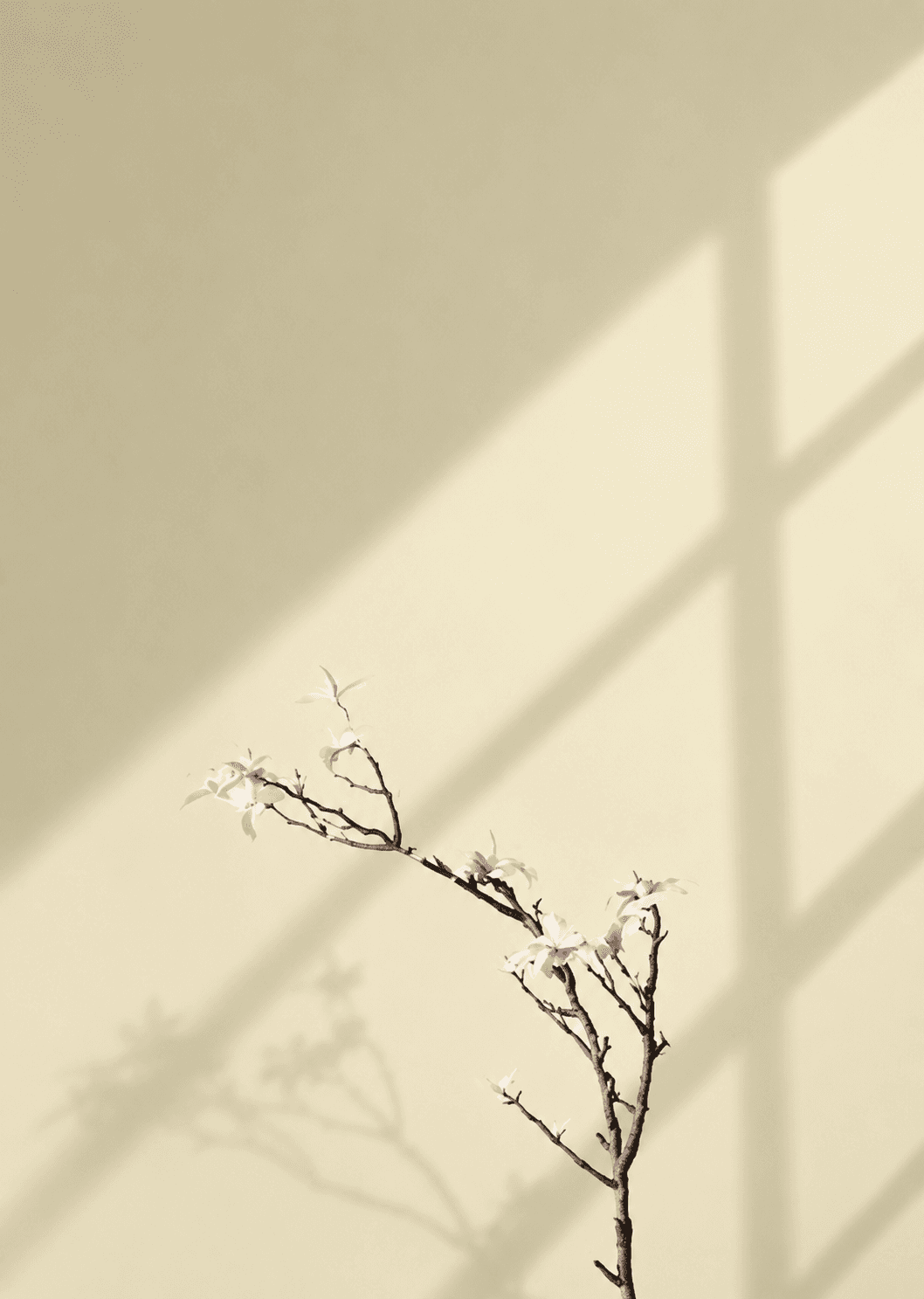 Whipped Green Tea