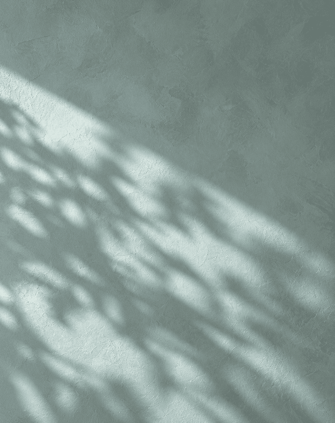 Coastal Pine