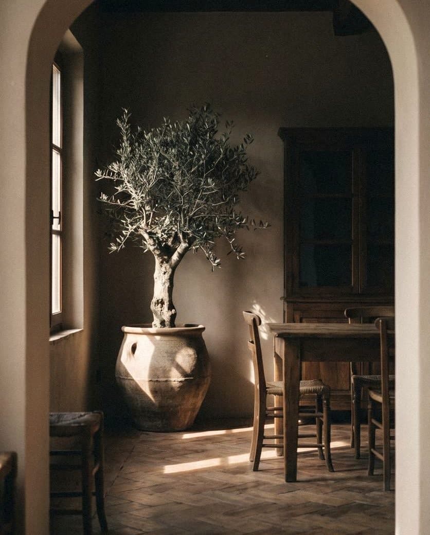 Arched doorway into a beige dining room with an olive tree in a terracotta pot and a wooden table