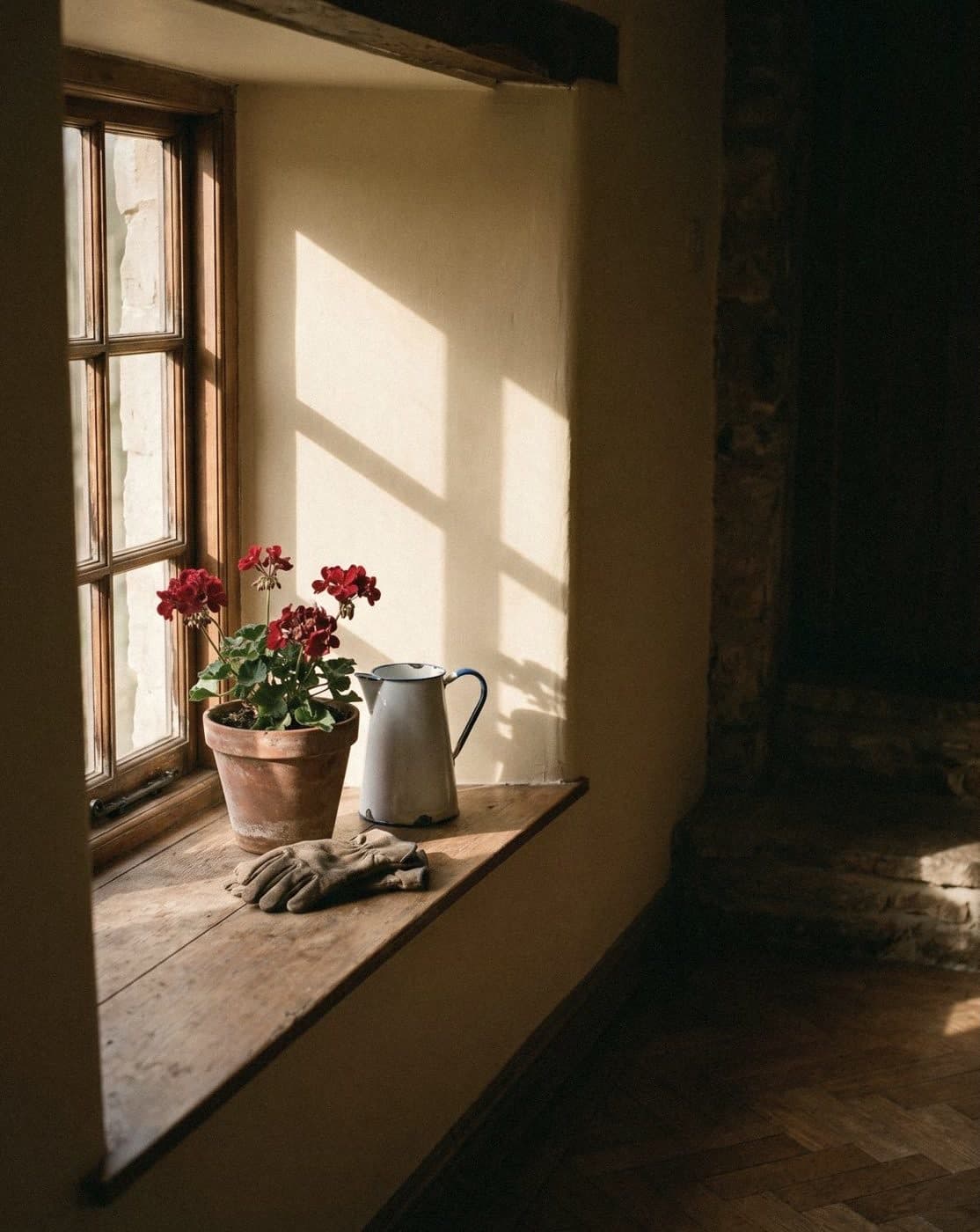 A deep wooden sill in a warm cream wall with red geraniums in terracotta, an enamel jug and gardening gloves