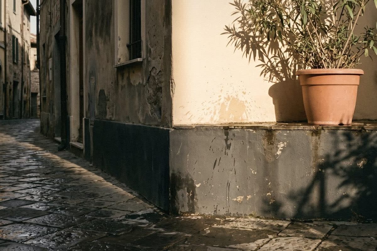 A cream exterior wall with a darker painted base marked by splashes, a potted plant and wet paving