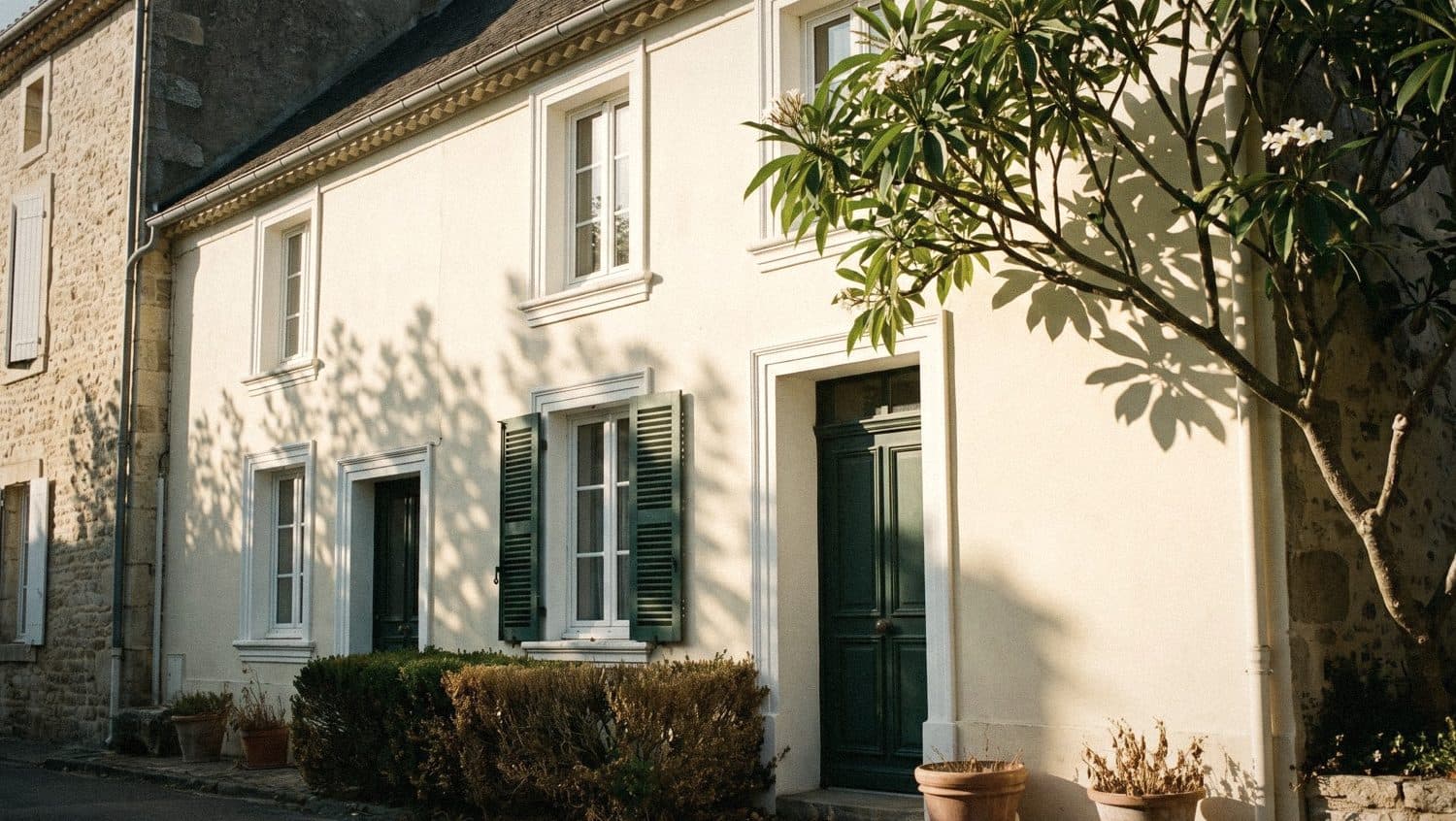 A cream two-storey house with white window surrounds, dark green shutters and door, a frangipani beside it