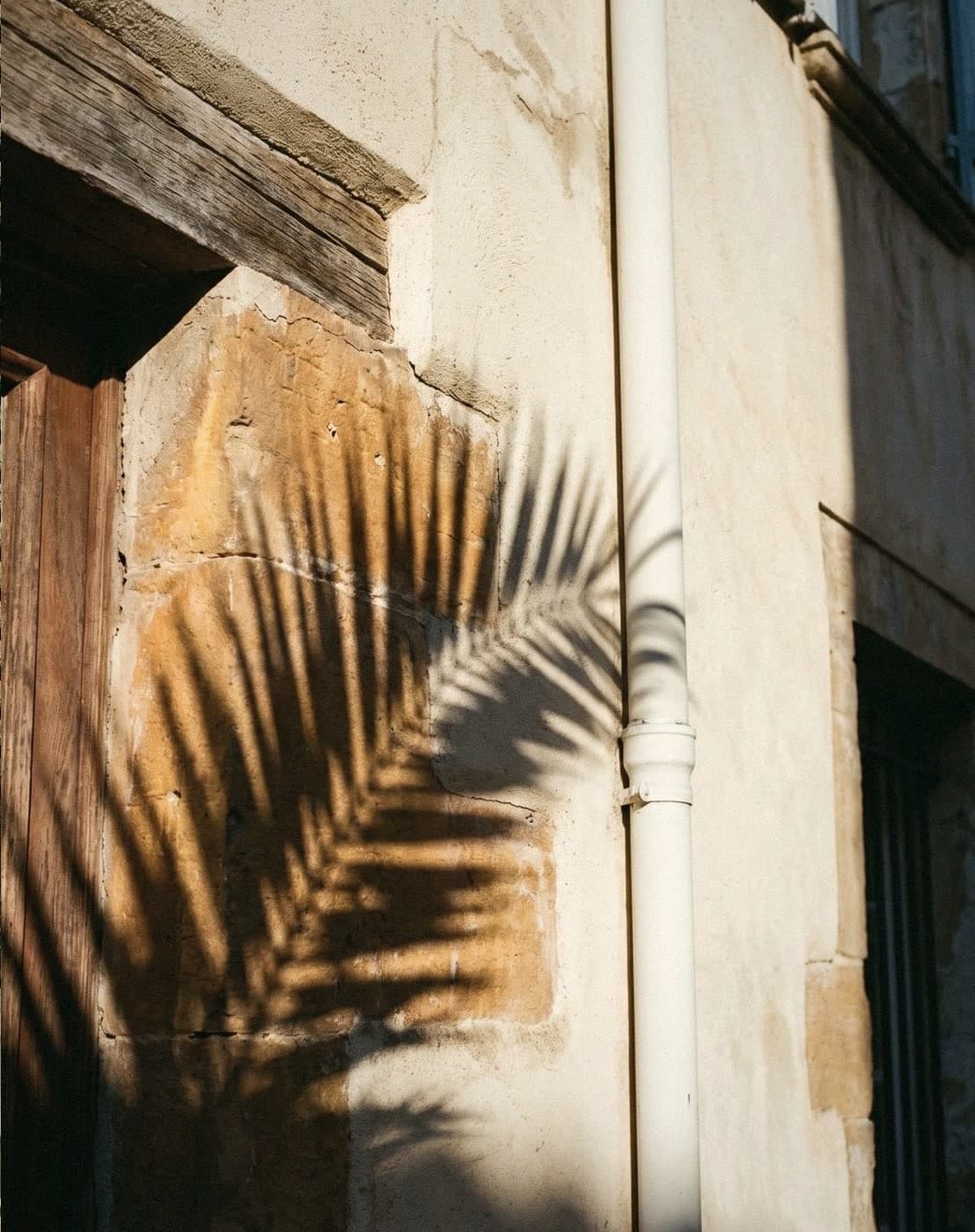 A cream wall and white drainpipe beside a wooden door, a palm frond's shadow falling across the stone
