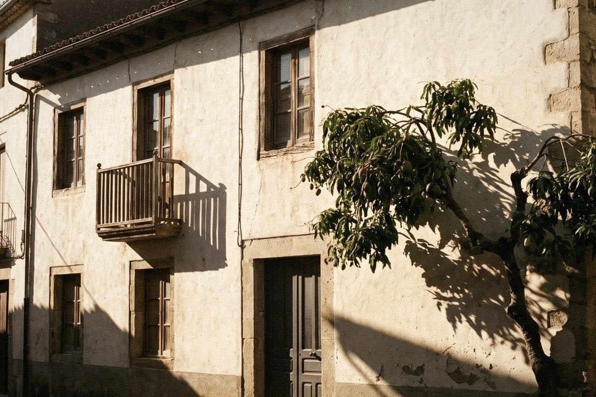 An old cream house with brown wooden windows, a wooden balcony and a dark door, a tree's shadow on the wall